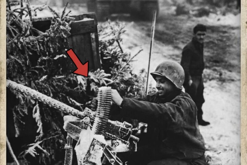 When This Gunner Stopped the German Army — They Sent a Tiger Tank After Him