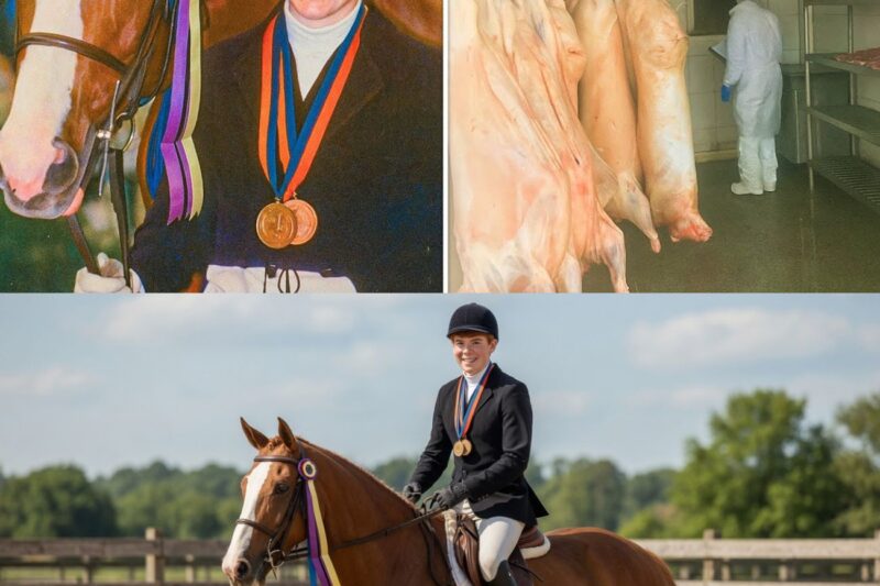 A jockey disappeared in 2001: three years later, health inspectors discovered a trapdoor in a slaughterhouse…