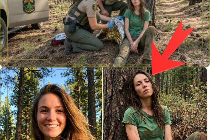 What Did the Arizona Forest Hide for Three Years—and Why Did the Discovery Leave Everyone Horrified?