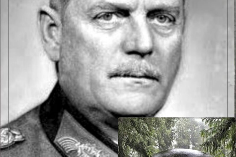 Why Did a German General Walk Into the Woods in 1945 and Never Come Back?