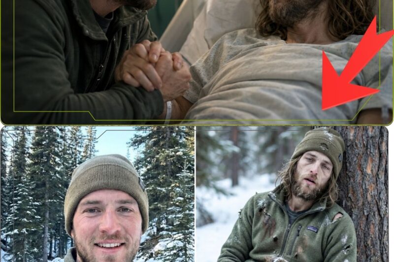 What Did Searchers Find Deep in the Alaskan Wilderness One Year After a Hiker Vanished Without a Trace?