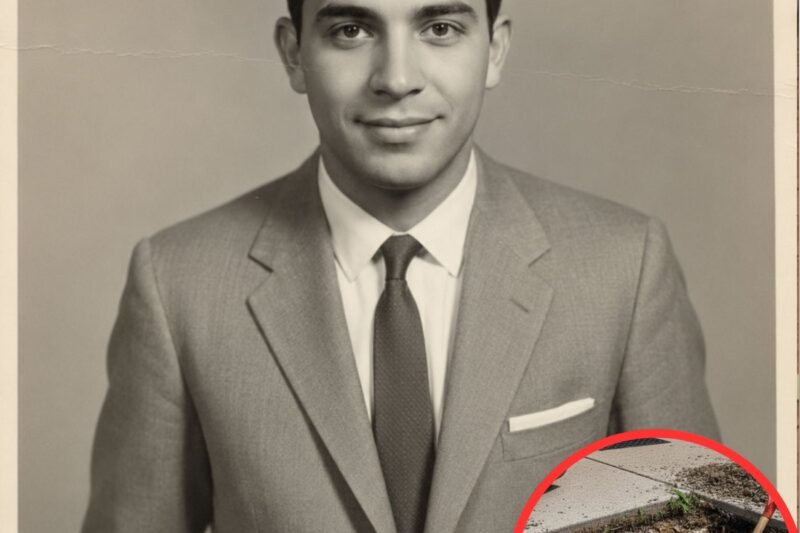 What Was Really Buried Beneath That Miami Sidewalk for 52 Years?