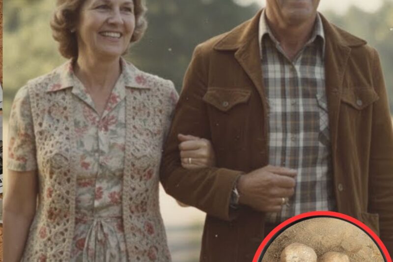 What Was Hidden Behind the Old Farmhouse After This Couple Never Made It to Their 50th Anniversary Party?