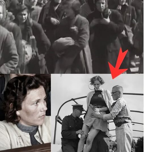 Public Hanging of Stutthof Female Guards Before 10,000 People in Gdańsk in 1946