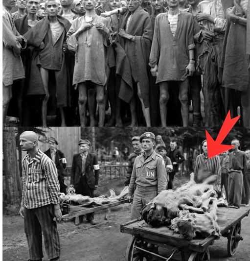 53 Nazis Burned Alive by Prisoners at Ebensee: The Most Brutal Reprisal of the Liberation — The Ebensee Massacre