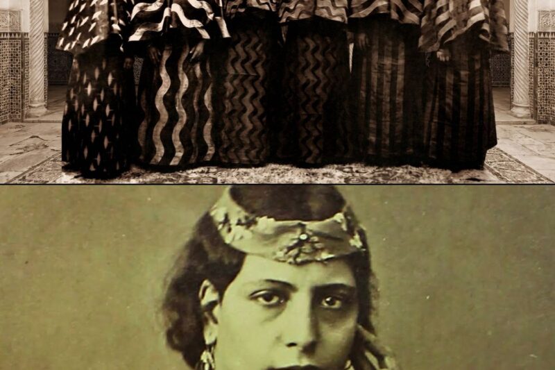 What Happened to the Ottoman Sultan’s Concubines After the Dynasty Fell?