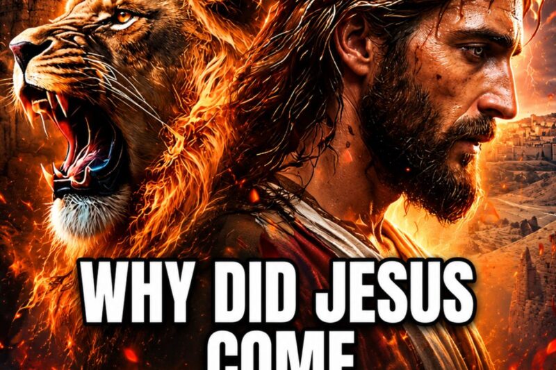 The REAL REASON Jesus Comes from Judah