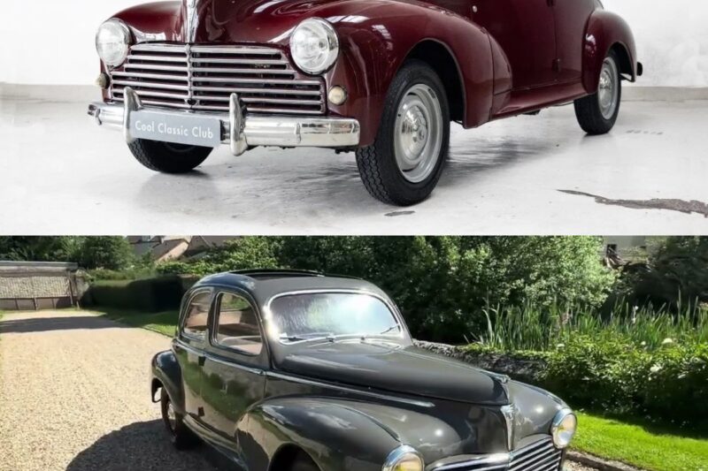 Il miracolo della Peugeot 203: la scommessa disperata che salvò il Leone e divenne immortale in