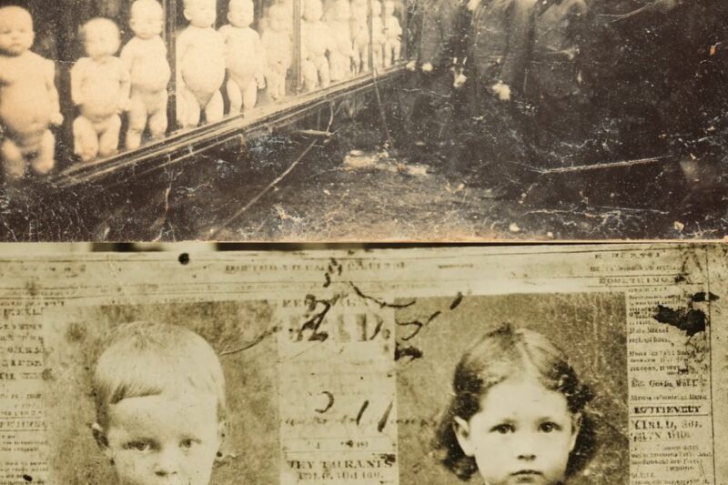 They Put Living Babies on Display at the World’s Fair — And Nobody Asked Where They Came From