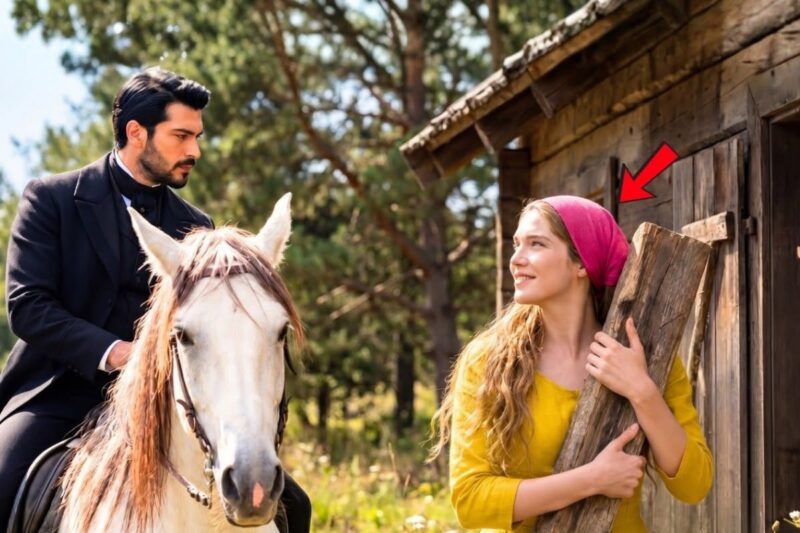 She was building a cabin out of old planks when a Duke approached on horseback and…