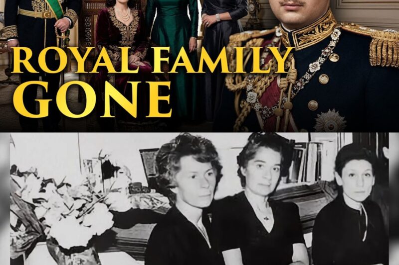 The Dynasty Egypt Erased: Where Are King Farouk’s Heirs Now?