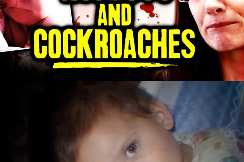 Inf*nt Found Cold Eaten By Cockroaches
