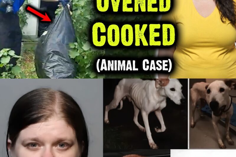 19 B*dies Found In Trash Bags Cooked in ”Oven” Shed