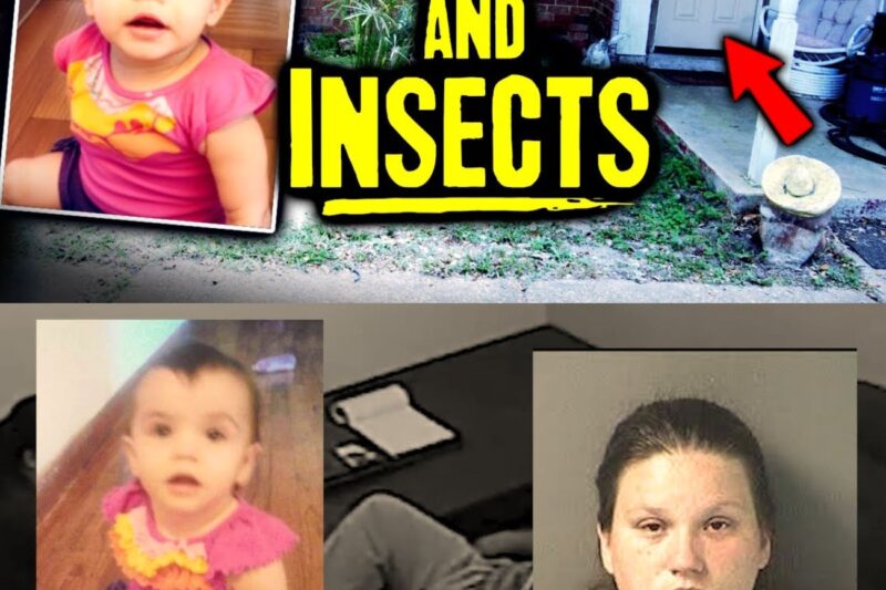 Infant Found With Insects Eating Her Skin In Poop Filled House of Horrors