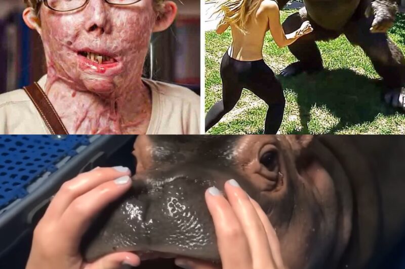 15 Pets That Ate Their Owners Right In Front Of Everyone