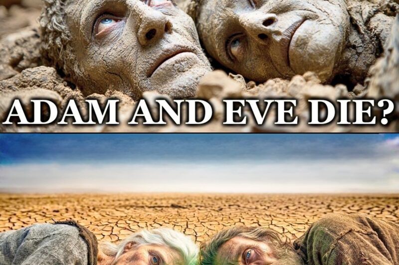 WHO DIED FIRST, ADAM OR EVE? – THE TRUTH ABOUT WHAT HAPPENED