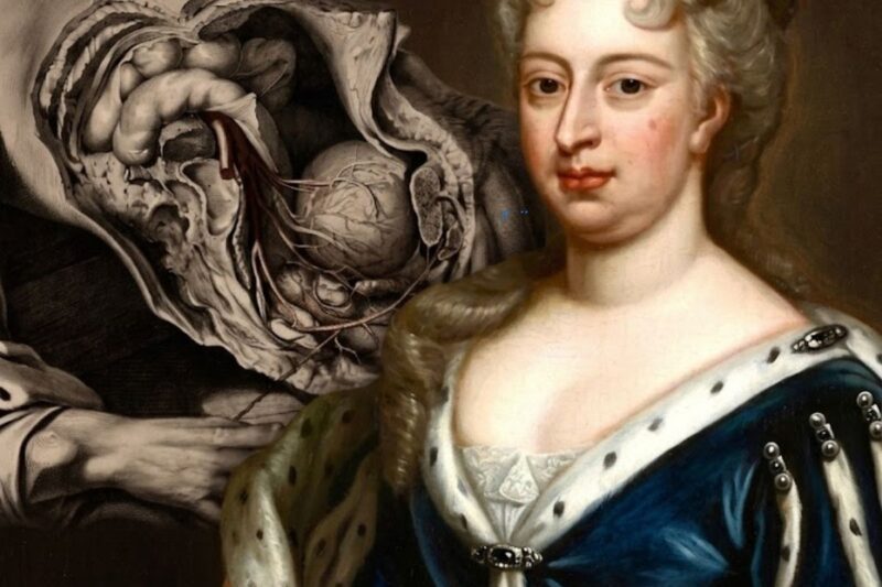 Nobody Noticed the Queen’s Pain Until Her Belly Burst Open