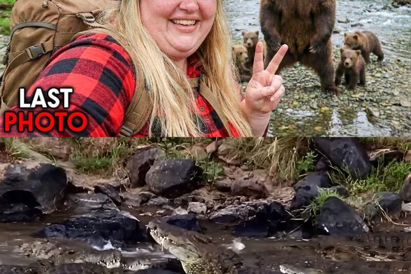 Brainless People Who Provoked the Wrong Animals