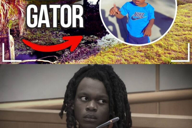 Florida Dad Feeds His Son to a Gator