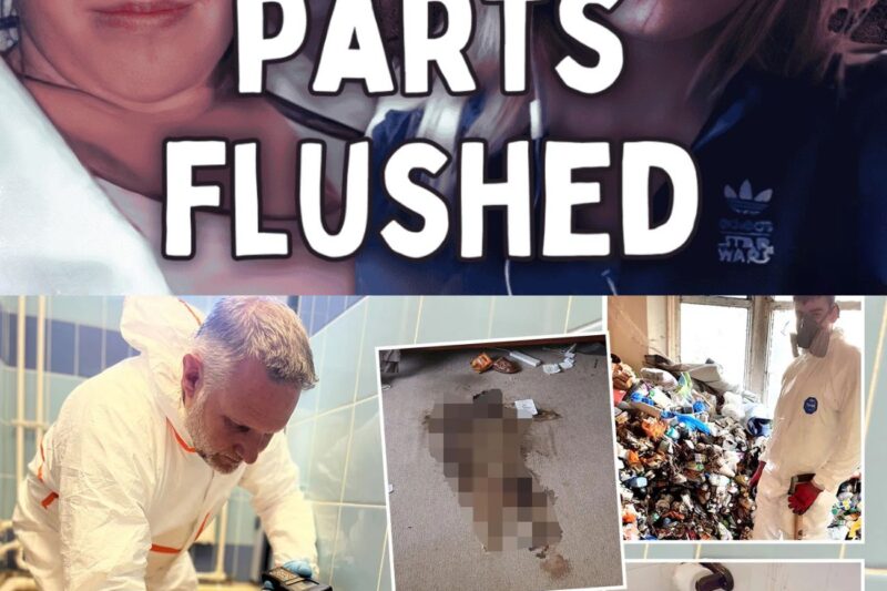 Their bodies lay scattered inside the pipes until…