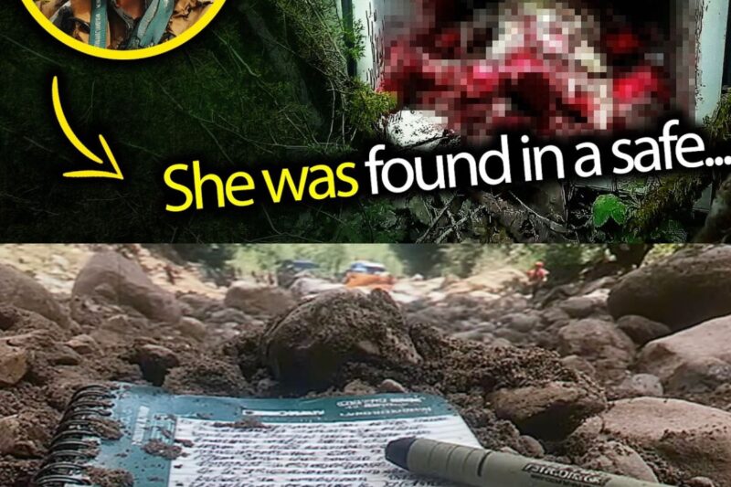 DEEP IN THE OREGON FOREST, A 9-YEAR-OLD SECRET WAS WAITING TO BE FOUND