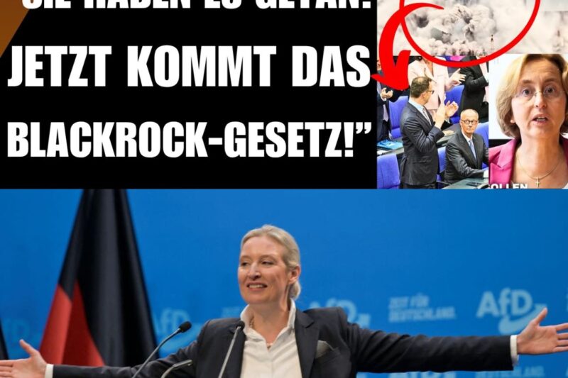Alarmierende Weichenstellung: Warum uns laut AfD-Analyse noch härtere Zeiten bevorstehen