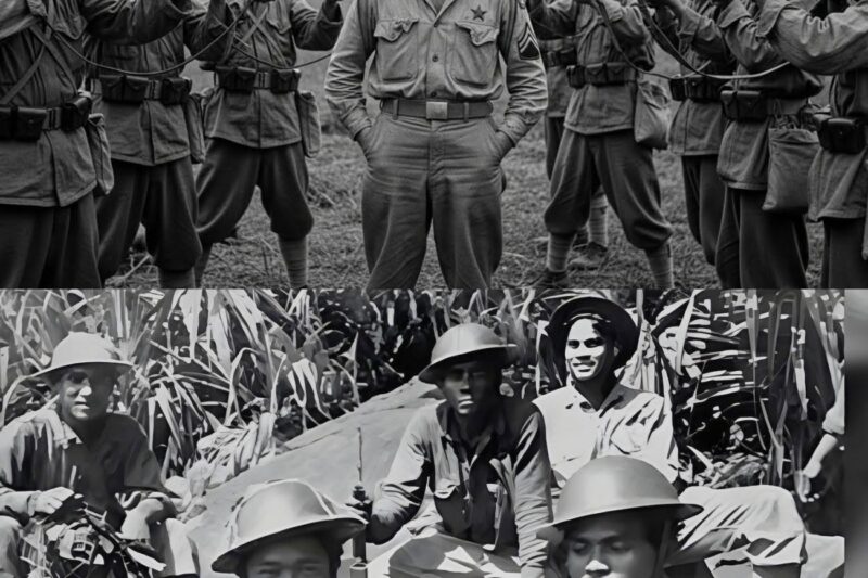 50,000 Japanese Hunted One American for 3 Years — He Built a Secret 35,000-Man Army
