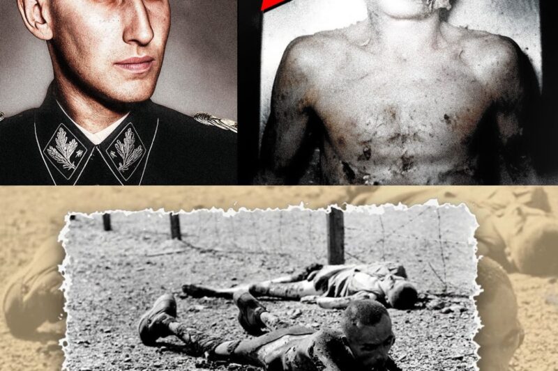See what they found on Heydrich’s body that the Nazis tried to hide. | DNA