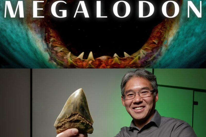We Were Wrong About Megalodon | DNA
