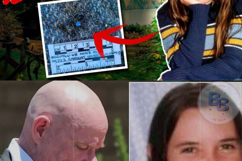 Went on a trip and DISAPPEARED. A years later, the HORRIFYING TRUTH about Hayley Dodd was uncovered.